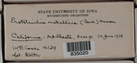Image Associated With the Occurence